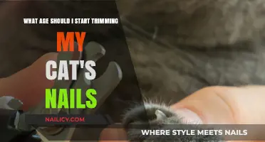 Trimming Your Cat's Nails: When to Start?