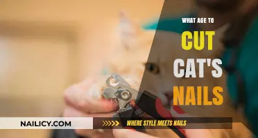 The Right Time to Trim Your Cat's Claws