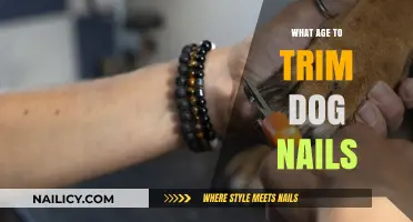 Trimming Dog Nails: When to Start and How Often