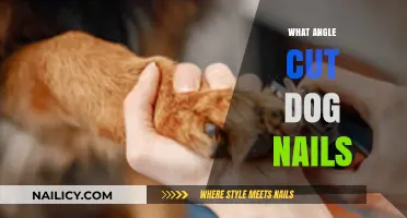 The Perfect Angle to Cut Your Dog's Nails