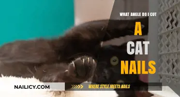 The Perfect Angle to Trim Your Cat's Nails