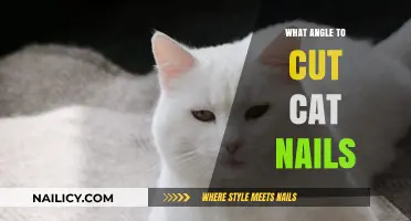 The Perfect Angle for Trimming Your Cat's Nails