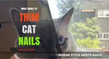 Trimming Cat Nails: The Perfect Angle for a Safe Clip