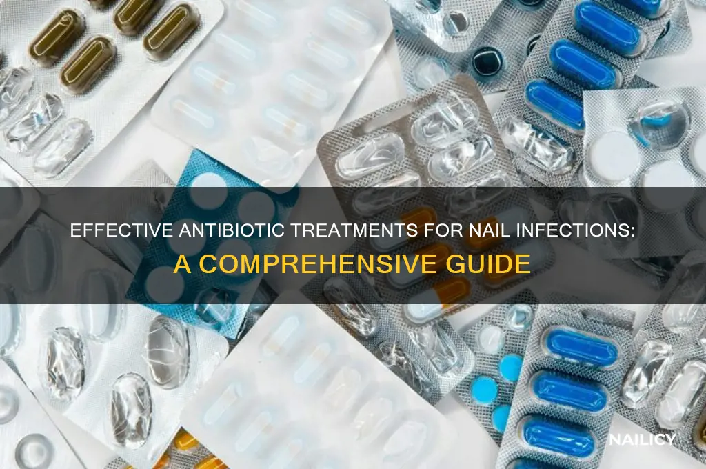 what antibiotic for nail infection