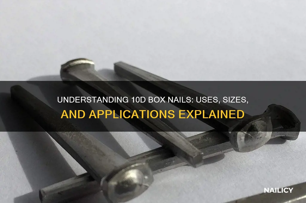 what are 10d box nails