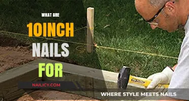 Understanding the Practical Uses of 10-Inch Nails in Construction and Carpentry