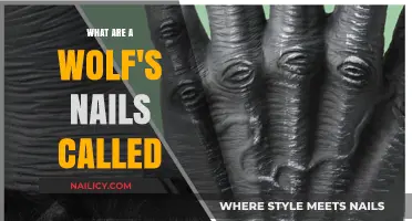 Unveiling the Mystery: What Are a Wolf's Nails Actually Called?