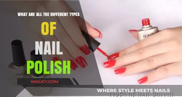 Exploring the Diverse World of Nail Polish Types and Finishes