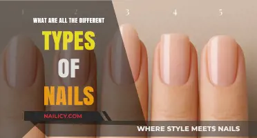 Exploring Various Nail Types: Shapes, Sizes, and Purposes Unveiled