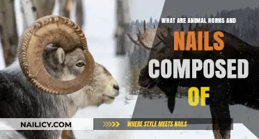 Unveiling the Composition of Animal Horns and Nails: A Detailed Insight