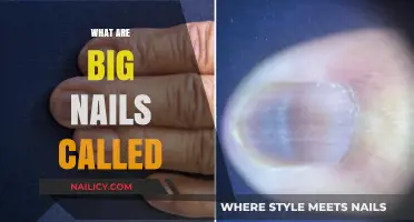 Unveiling the Term: What Are Big Nails Called and Why?
