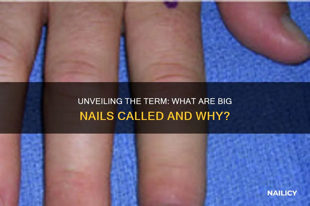 what are big nails called