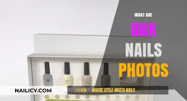 Exploring Box Nails: Photos, Uses, and Types for DIY Projects