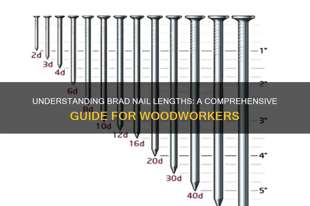 what are brad nail lengths
