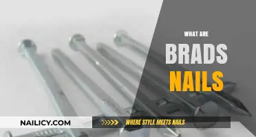 Understanding Brads Nails: Uses, Types, and Applications in Woodworking