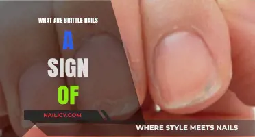 Brittle Nails: Uncovering Hidden Health Issues and Nutrient Deficiencies