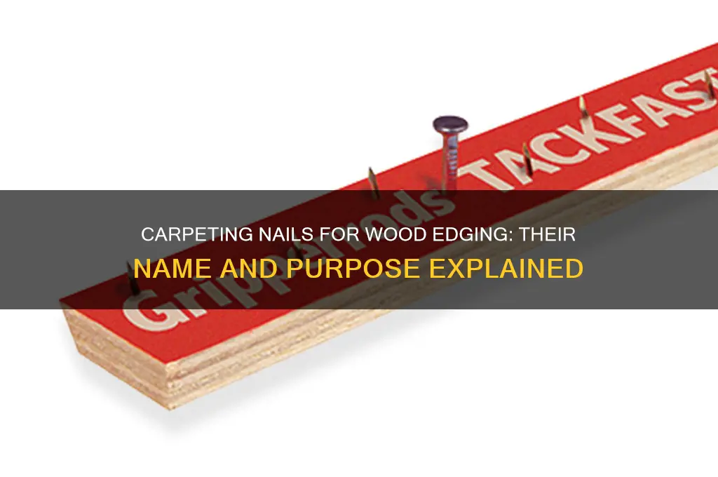 what are carpeting nails on wood edging called