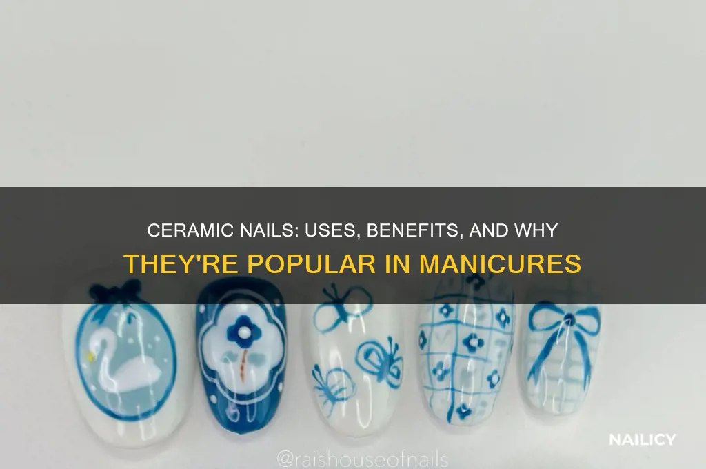 what are ceramic nails for