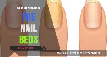 Understanding Nail Bed Changes: Causes, Symptoms, and Treatment Options