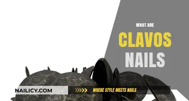 Discover Clavos Nails: Decorative Metal Studs for Rustic Charm