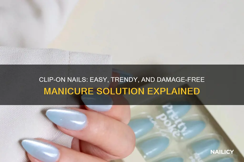 what are clip on nails