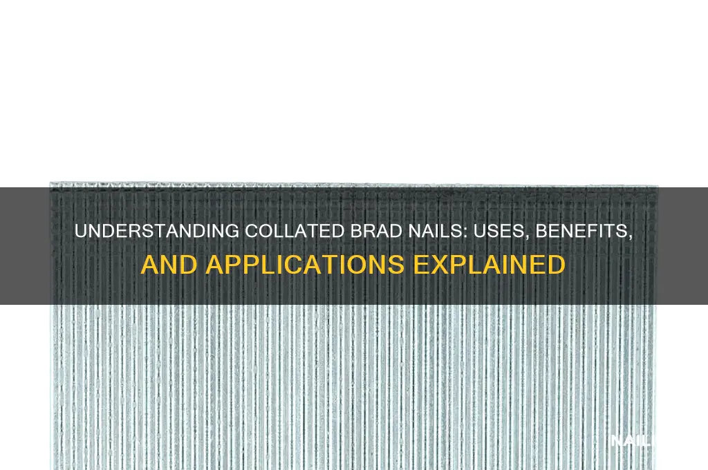 what are collated brad nails