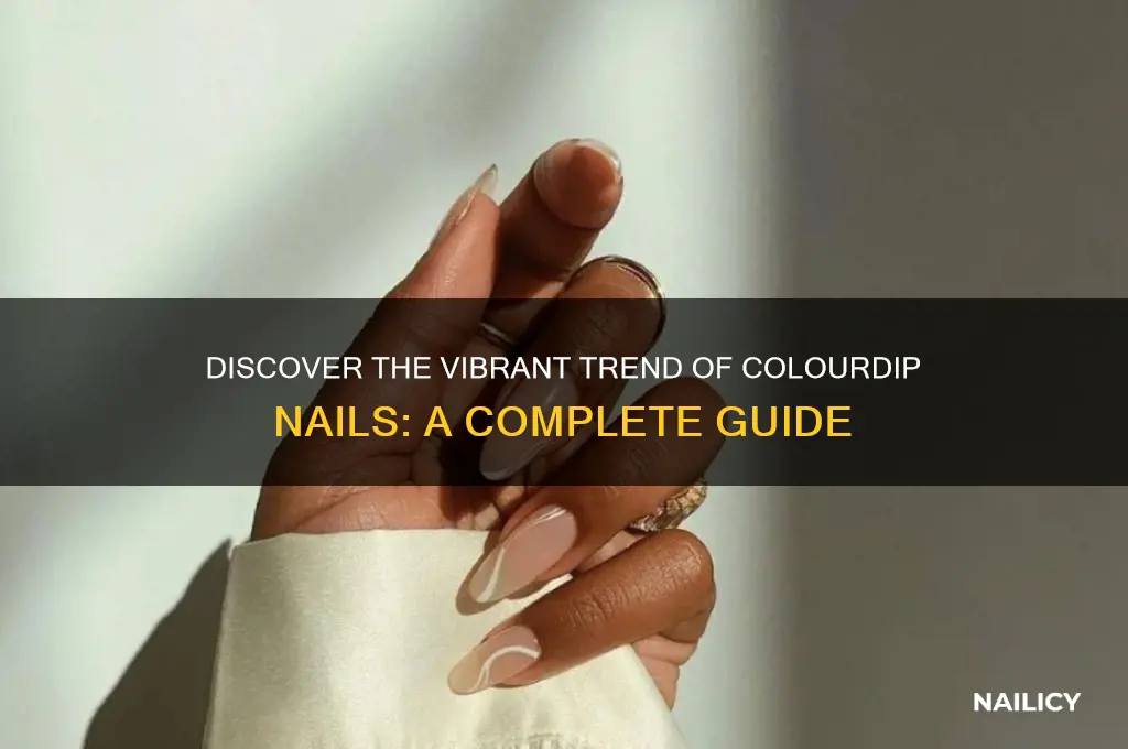 what are colourdip nails