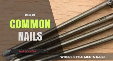 Understanding Common Nails: Types, Uses, and Essential Applications