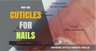 Understanding Cuticles: The Unsung Heroes of Nail Health