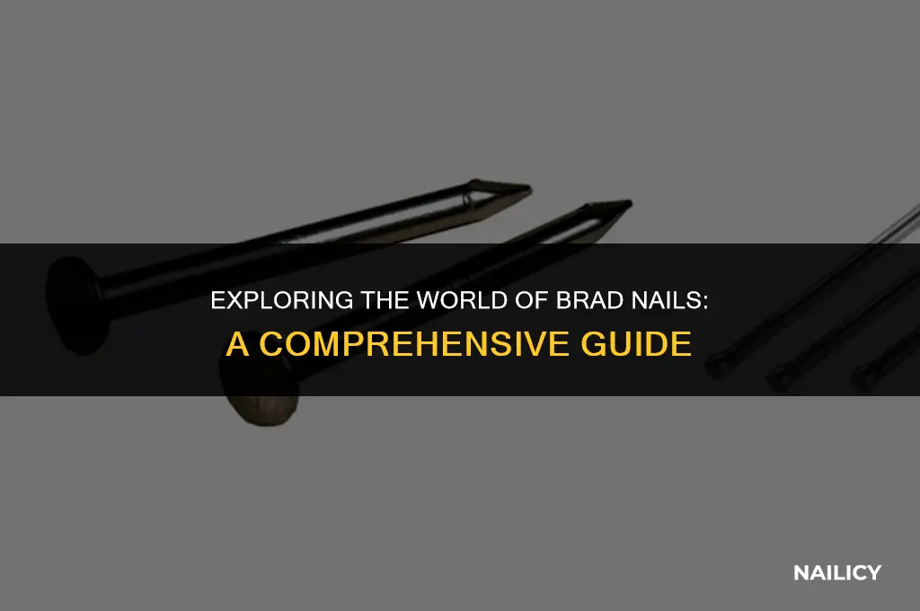 what are da brad nails