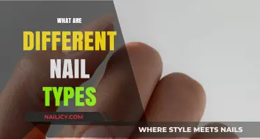 Exploring the World of Nails: Types, Shapes, and Styles
