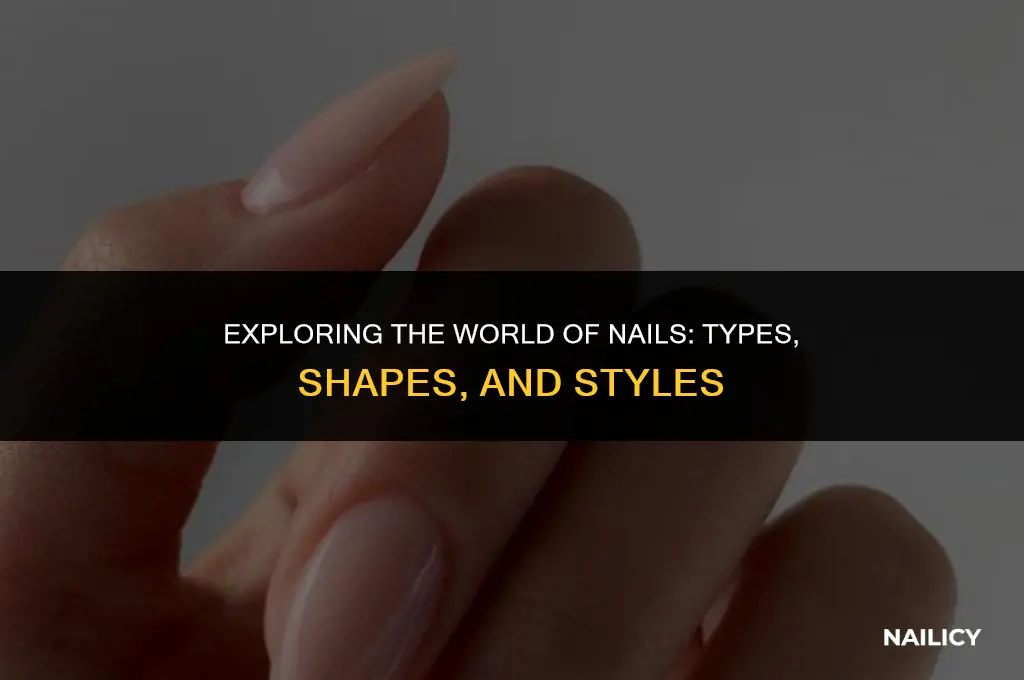 what are different nail types