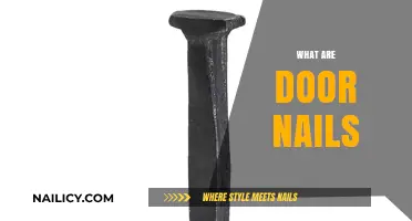 Exploring the Purpose and Types of Door Nails in Carpentry