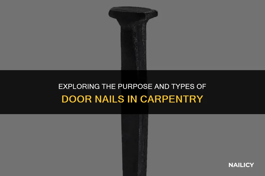what are door nails