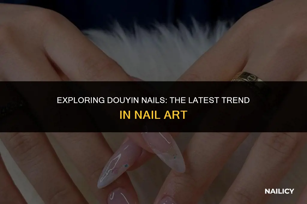 what are douyin nails