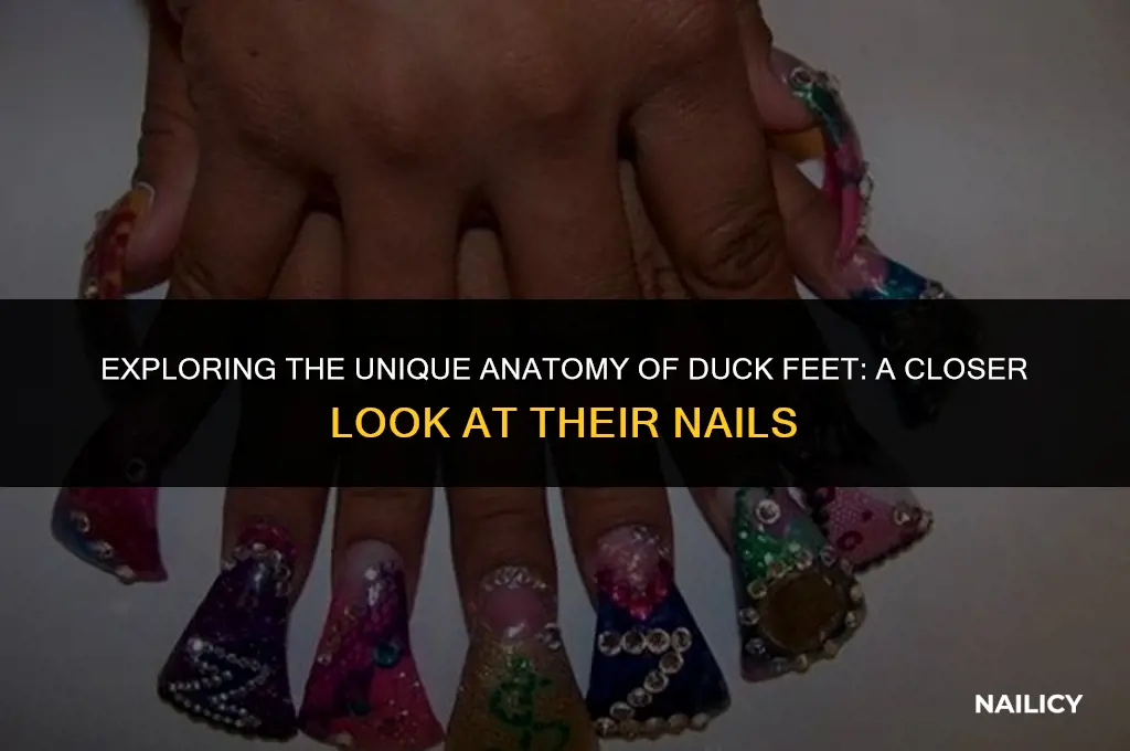 what are duck feet nails