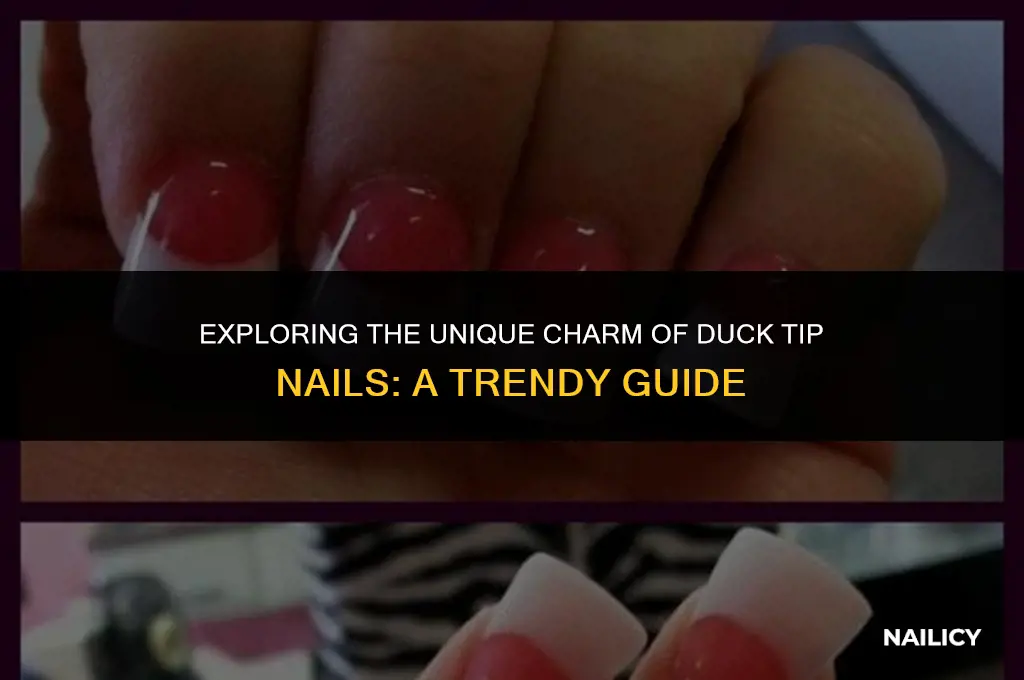 what are duck tip nails