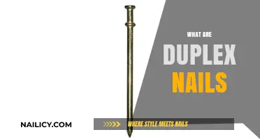 Exploring Duplex Nails: The Ultimate Guide to Double-Ended Fasteners