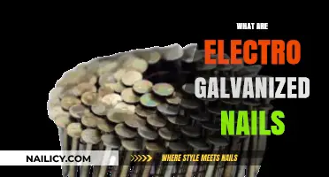 Exploring Electro-Galvanized Nails: Benefits and Applications in Construction