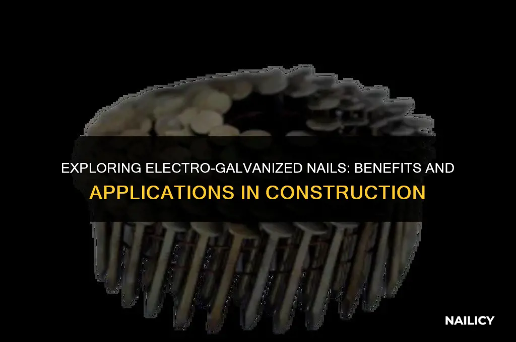 what are electro galvanized nails