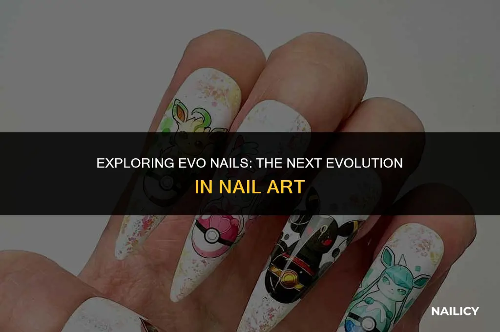 what are evo nails