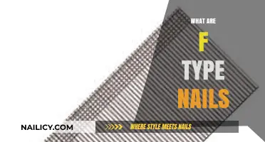 Understanding F-Type Nails: A Comprehensive Guide to Nail Anatomy