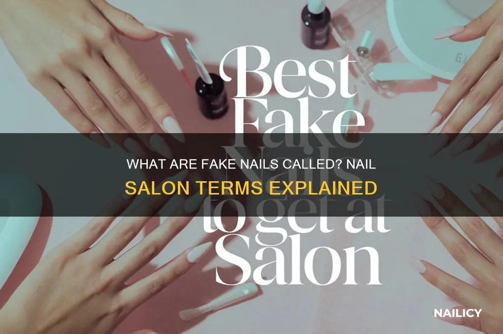 what are fake nails called at a nail salon