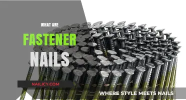 Exploring Fastener Nails: Types, Uses, and Essential Guide