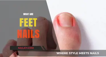 Understanding Foot Nails: Structure, Function, and Common Issues
