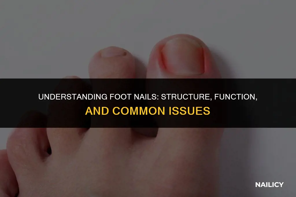 what are feet nails
