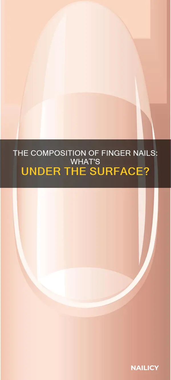 what are finger nails made of