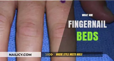 Understanding Fingernail Beds: Structure, Function, and Health Insights