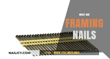 Exploring the Essentials: What Are Framing Nails and Their Uses?