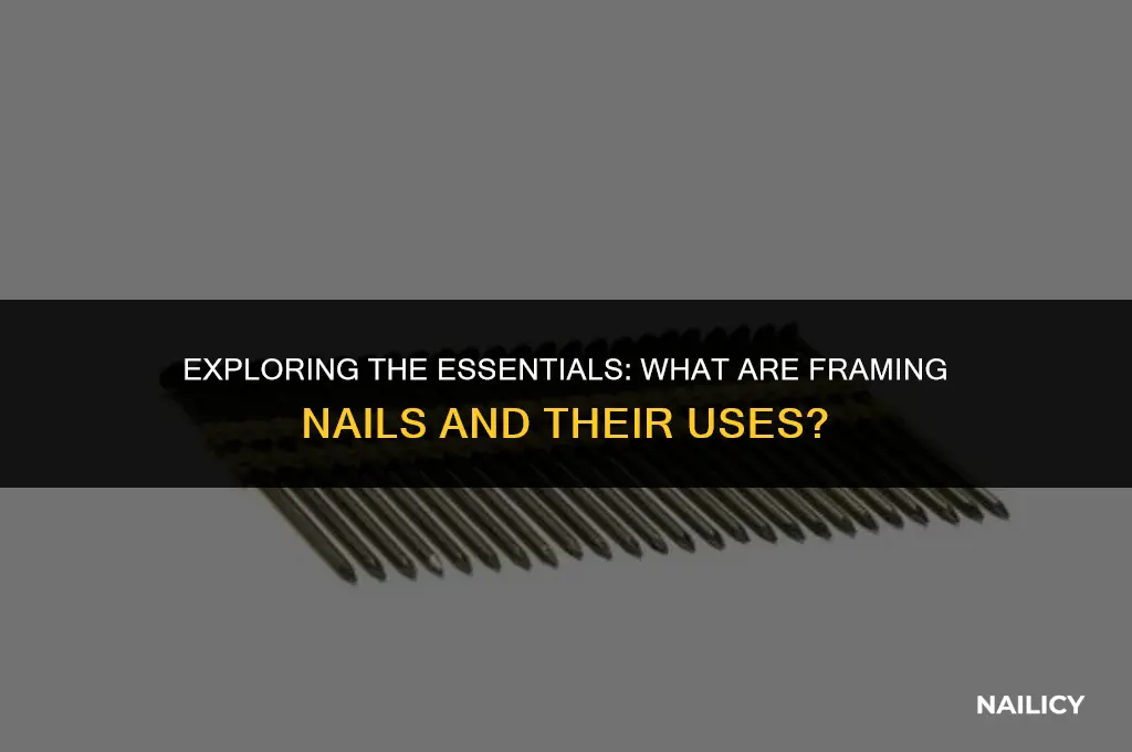what are framing nails